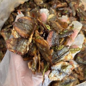 Cá Chỉ Lá Chanh 13 Cá chỉ lá chanh Nha Trang Xóm Biển - ảnh 5