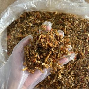Cá Cơm Rim 13 Cá cơm rim Nha Trang Xóm Biển hũ nhựa - ảnh 5