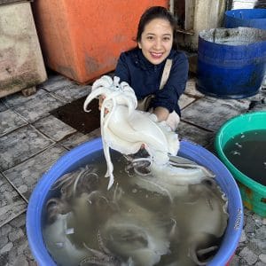 Chả Mực Chiên Nha Trang (Hạt Lựu) 15 Mực nang tươi nguyên liệu làm chả mực hạt lựu