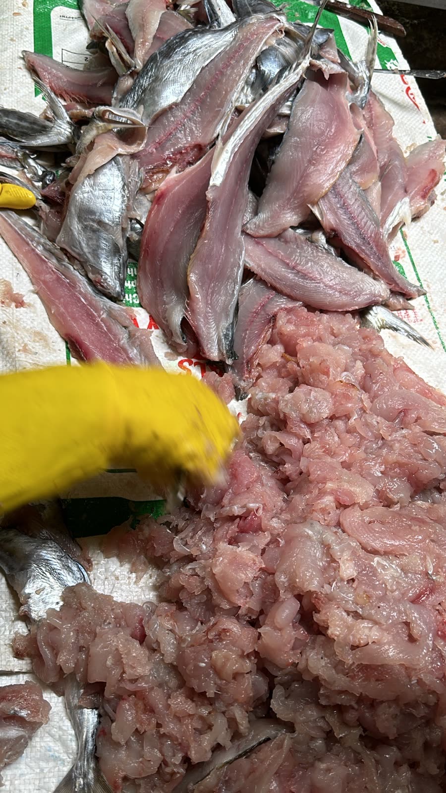 Chả Cá Thu Nha Trang Khác Chả Cá Thường Thế Nào? Vì Sao Hay Hết Hàng 2 Nạo thịt cá thu tươi làm chả cá thu Nha Trang